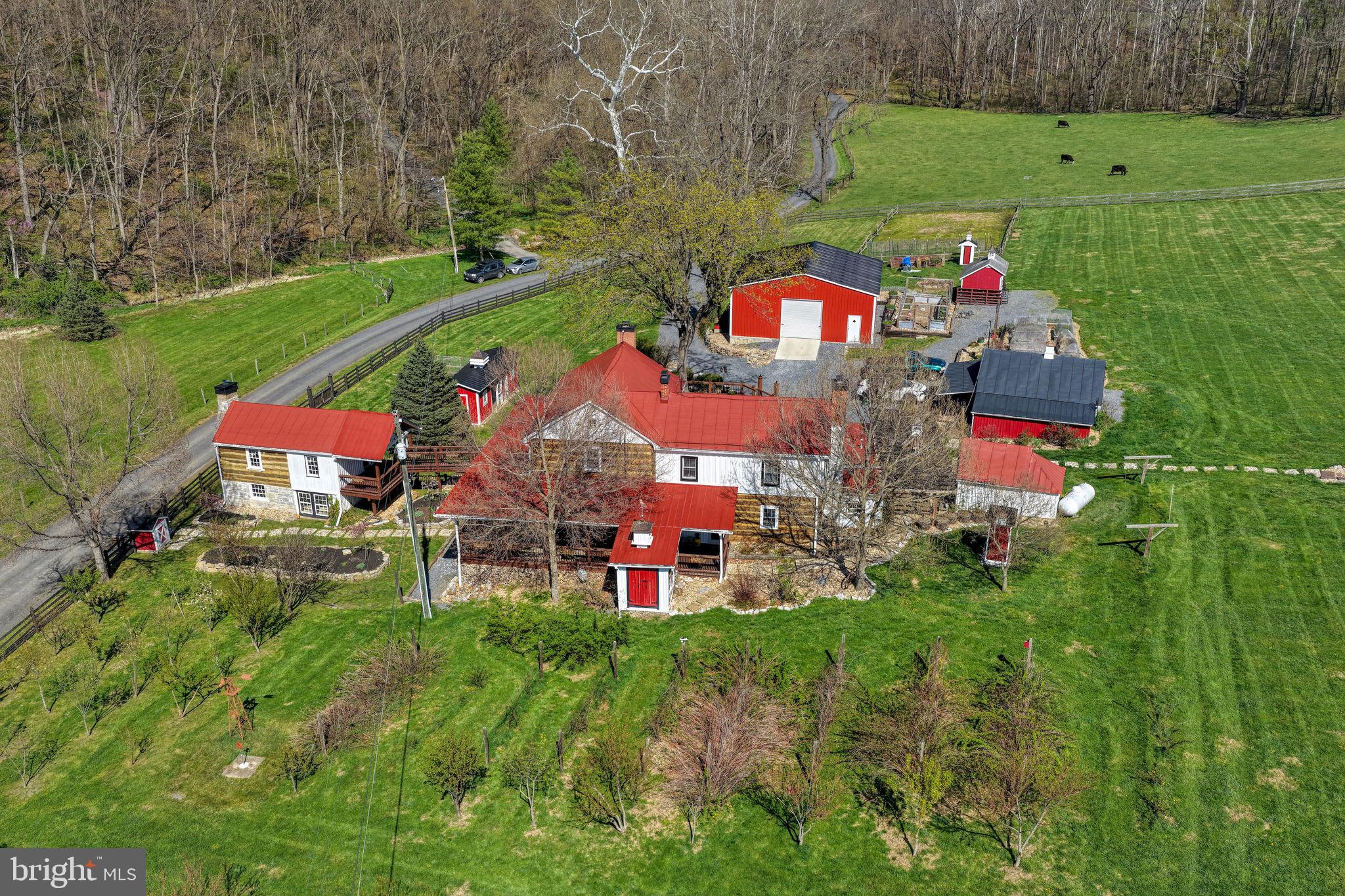 989 Swover Creek Road Edinburg, VA 22824 - Photo 10 of 132 Side of Property with View if the Small Orchard.