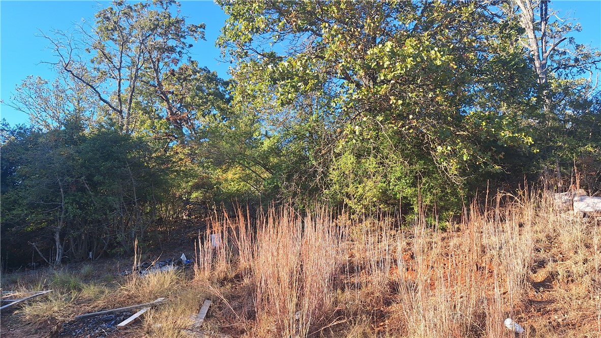 3571 Winding Road Hearne, TX 77859 - Photo 3 of 14 a backyard of a house with lots of green space