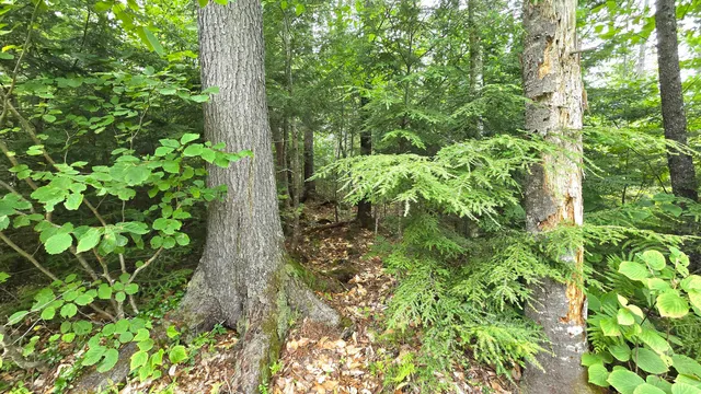 $235,000 | 106 Cedar Lake Road, Millinocket, ME 04462