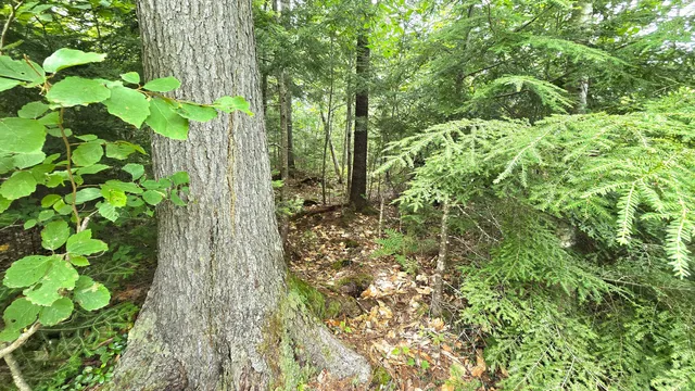 $235,000 | 106 Cedar Lake Road, Millinocket, ME 04462