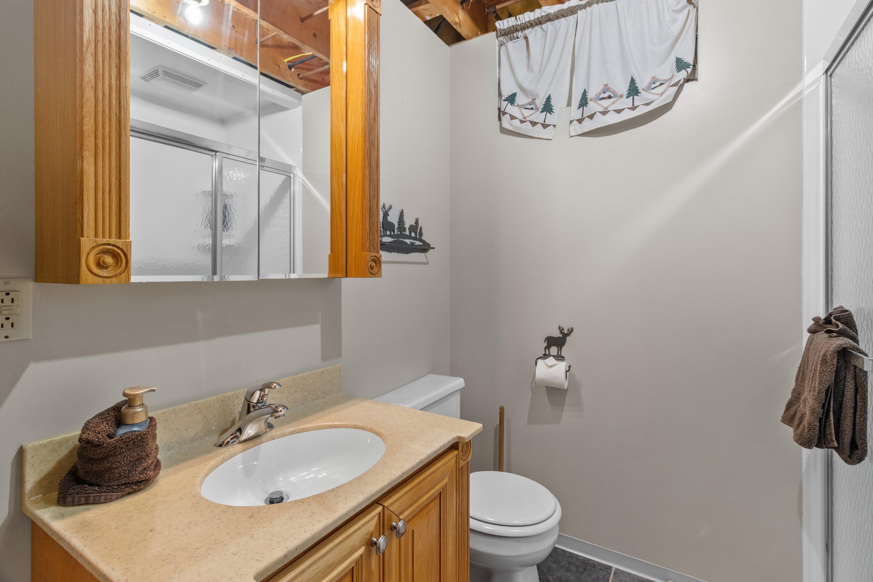 11098 East Halsey Lake Road Long Lake, WI 54542 - Photo 49 of 63 lower level bathroom