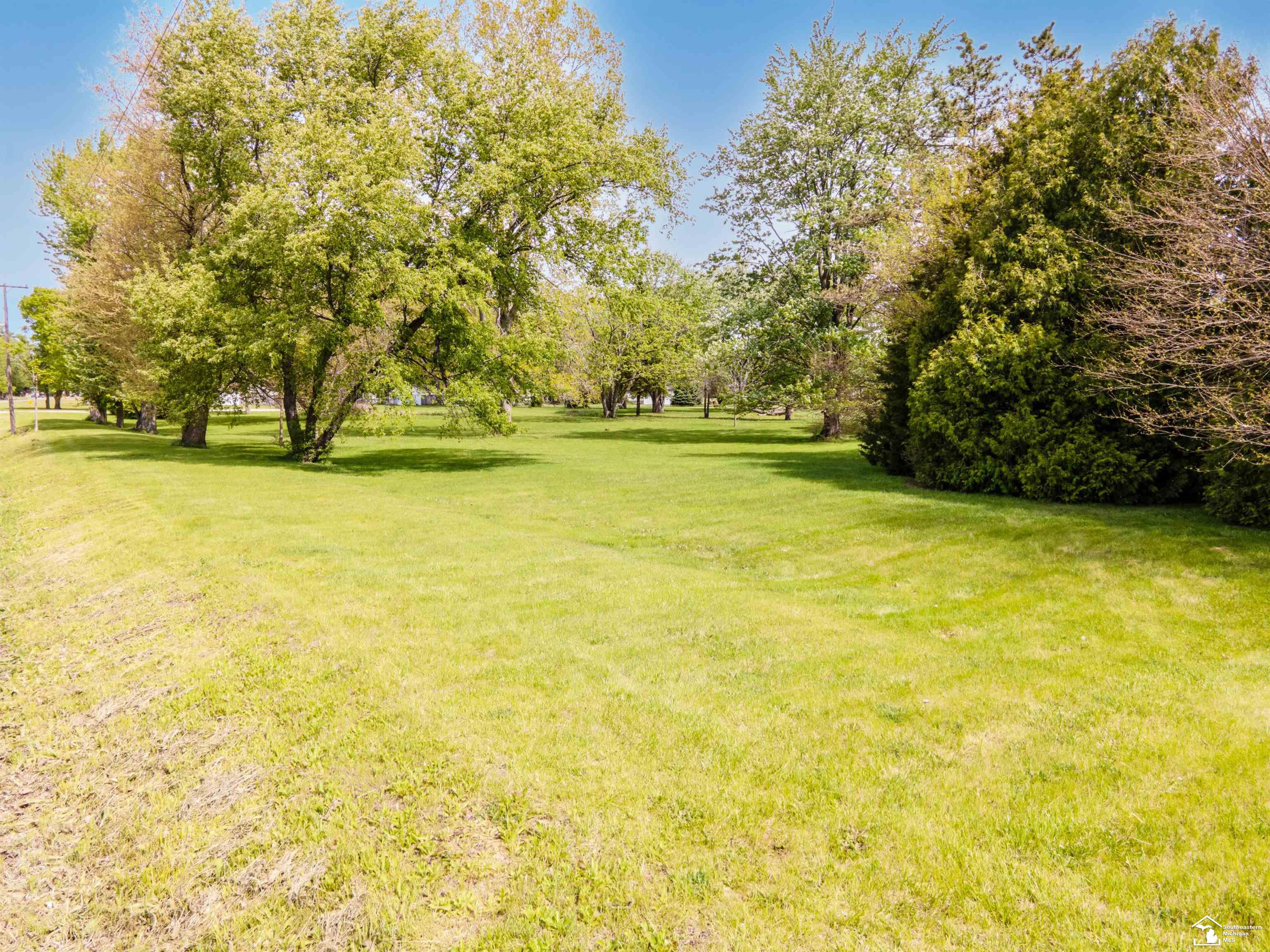 4175 Teal Road Petersburg, MI 49270 - Photo 8 of 8