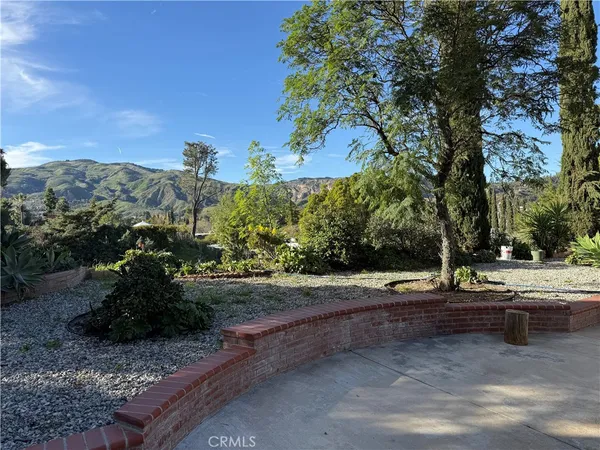 a view of a yard with plants and trees