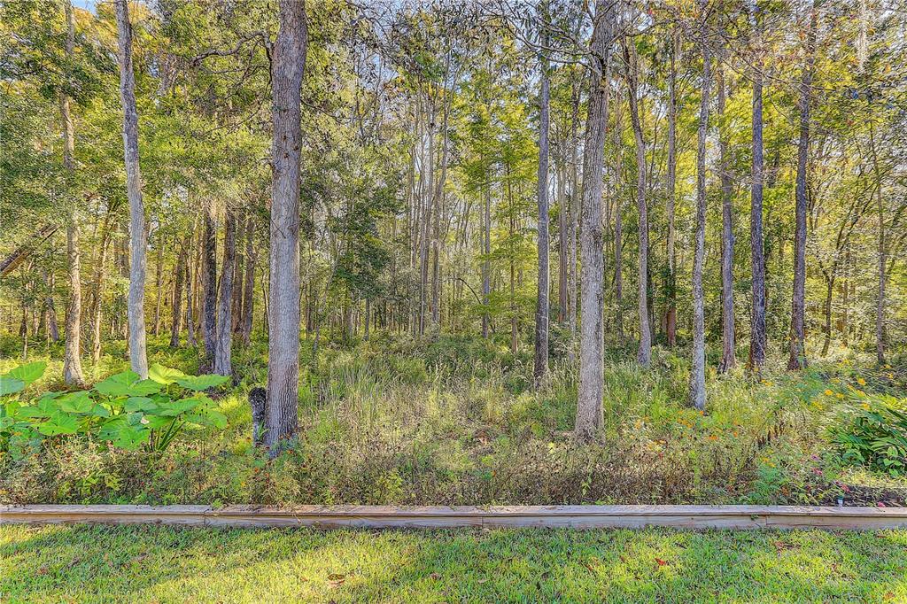 12054 Quail Ridge Drive Spring Hill, FL 34610 - Photo 49 of 64