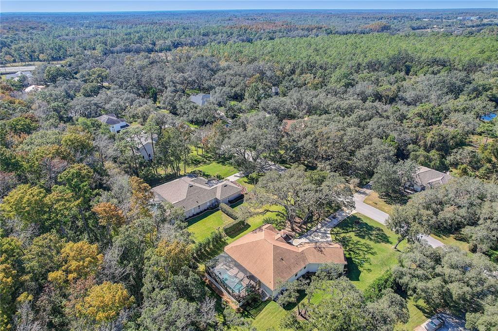 12054 Quail Ridge Drive Spring Hill, FL 34610 - Photo 62 of 64