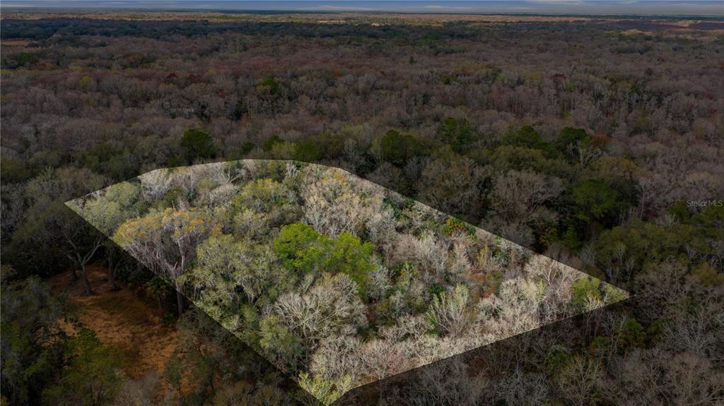 598 South Chambers Way Inverness, FL 34450 - Photo 1 of 5