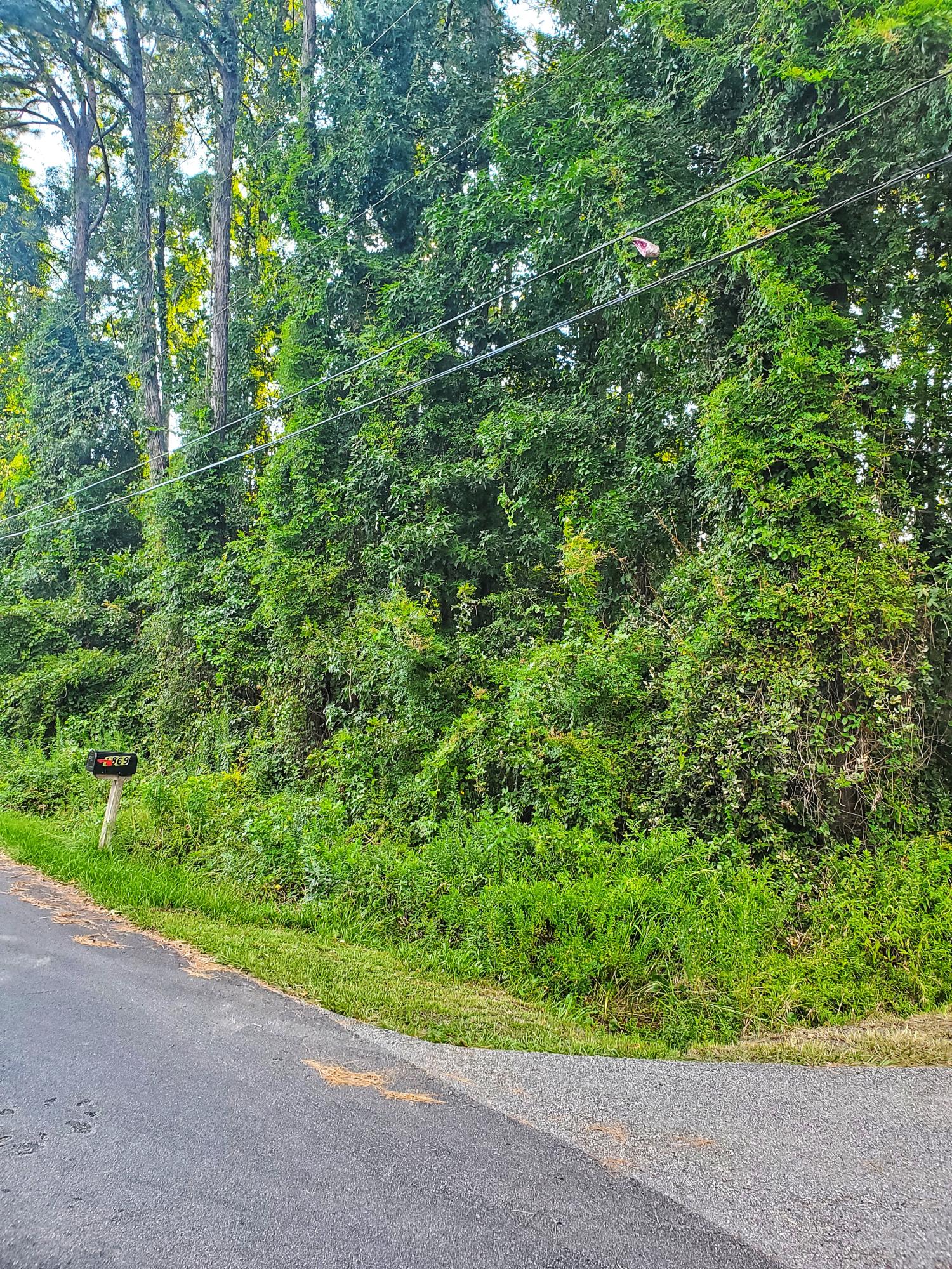 Lot 3 Beechwood Road Charleston, SC 29414 - Photo 2 of 4 20200811_180118-01