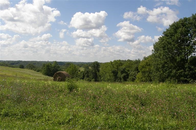 2241 Hempfling Road Morning View, KY 41063 - Photo 10 of 19