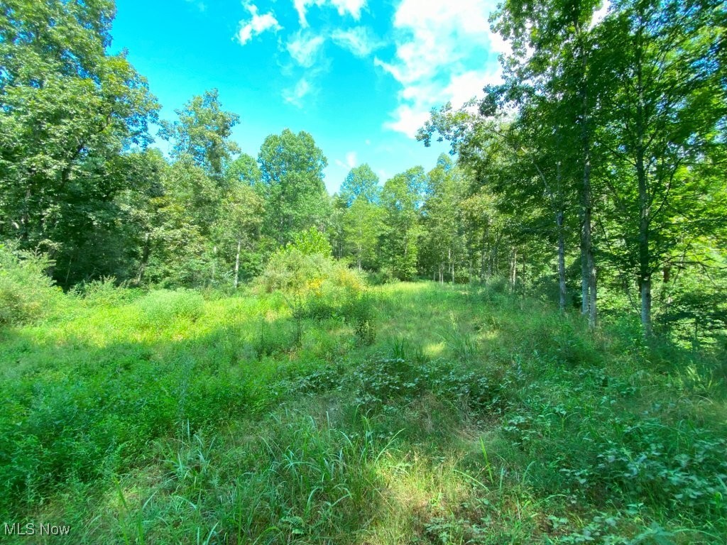 681 Laurel Road Spencer, WV 25276 - Photo 10 of 15