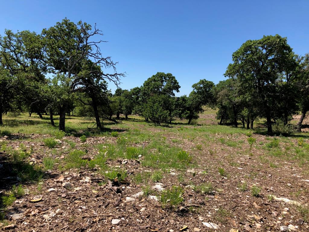 Lot 3 Old Harper Road, Unit 3 Harper, TX 78631 - Photo 1 of 1 Main View