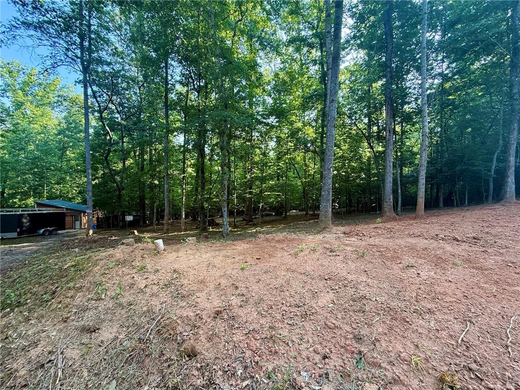 1125 Pecks Road Dahlonega, GA 30533 - Photo 22 of 31