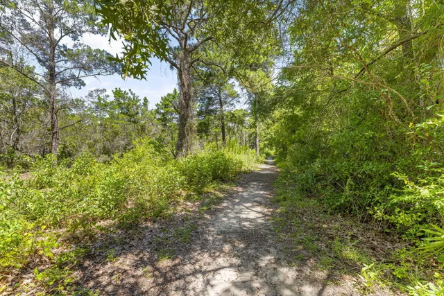 a big yard with lots of green space and house