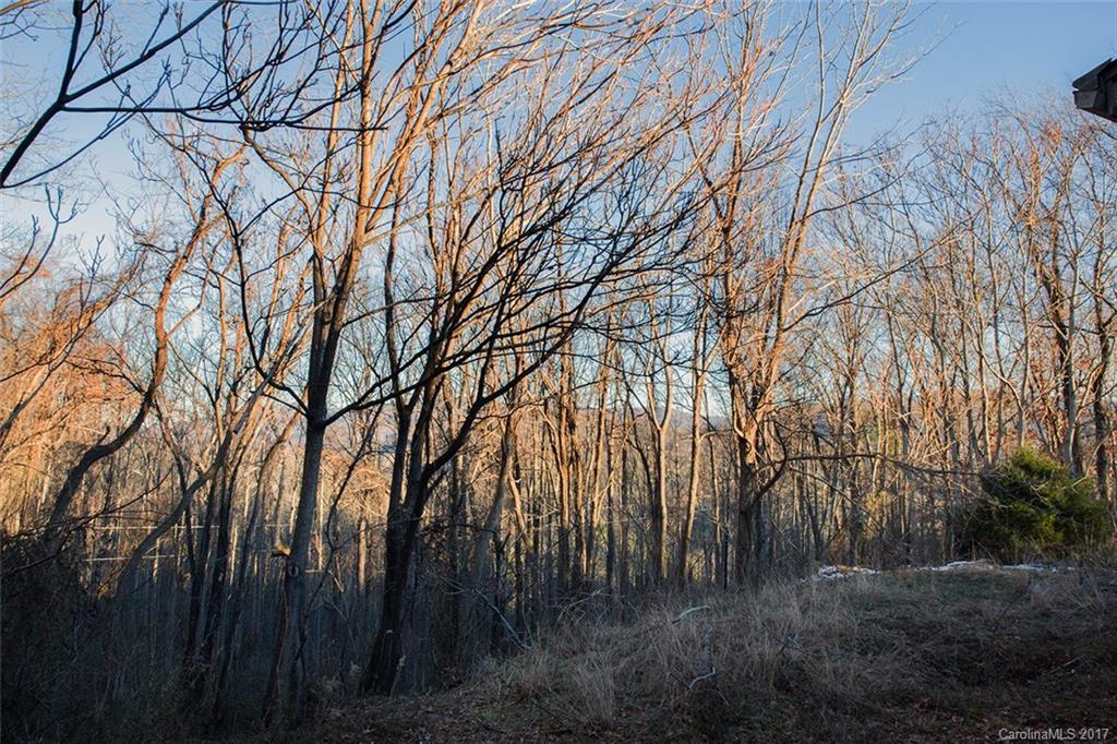 63 Wolf Road Asheville, NC 28805 - Photo 8 of 12 Gallery Image 8