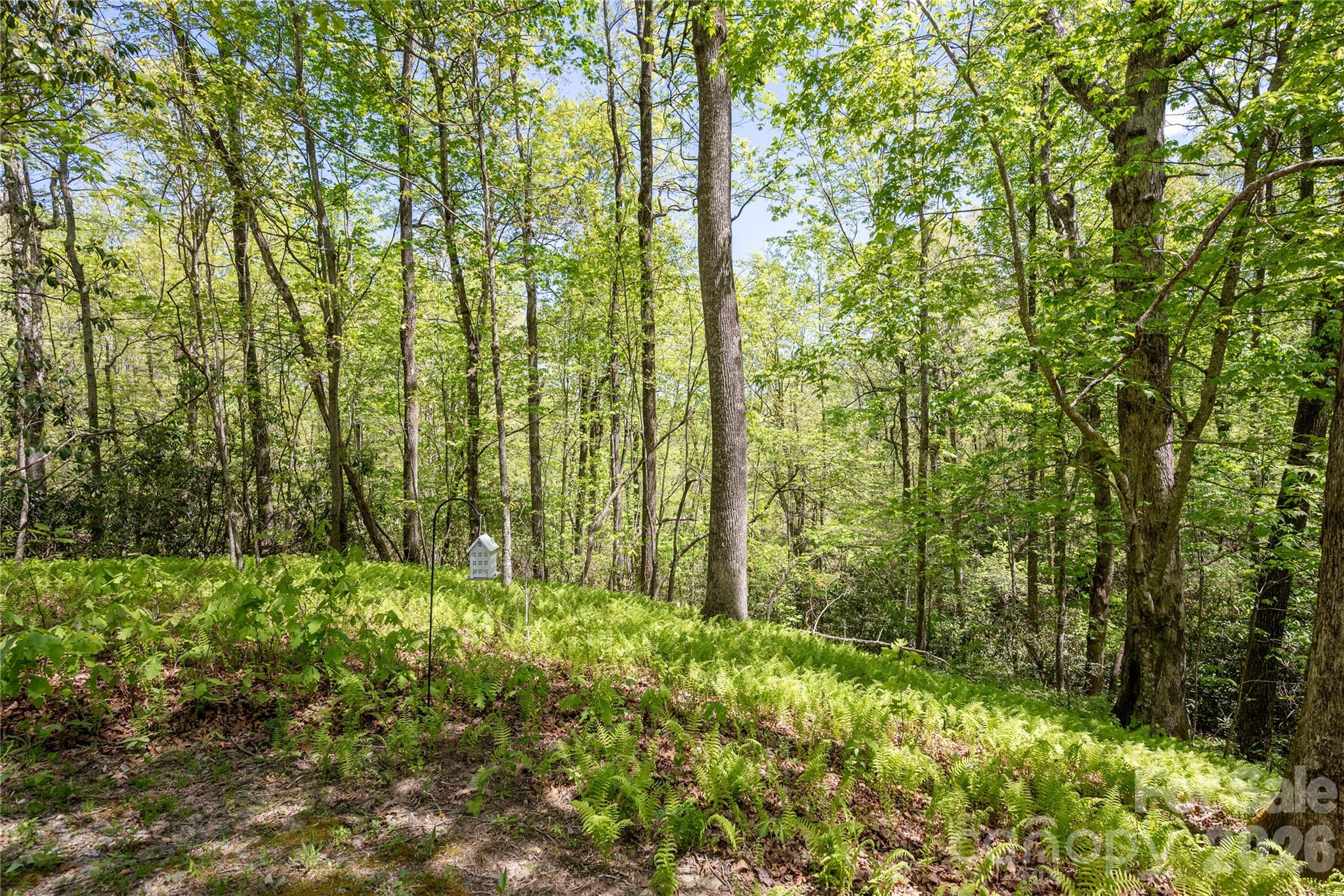 139 Panther Gap Road Brevard, NC 28712 - Photo 24 of 24