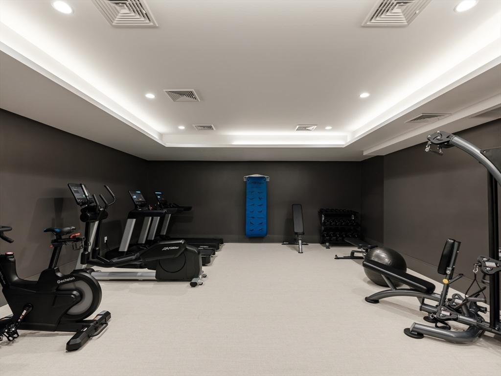 100 Linden Street, Unit 102 Wellesley, MA 02482 - Photo 17 of 30 a view of a room with gym equipment