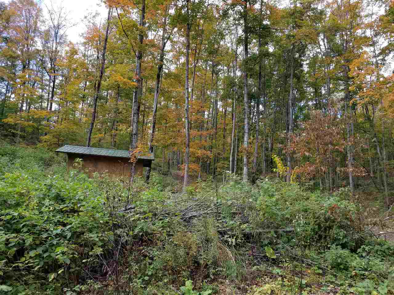 6395 Maple Grove Road Charlevoix, MI 49720 - Photo 2 of 11 1868545-1.JPG