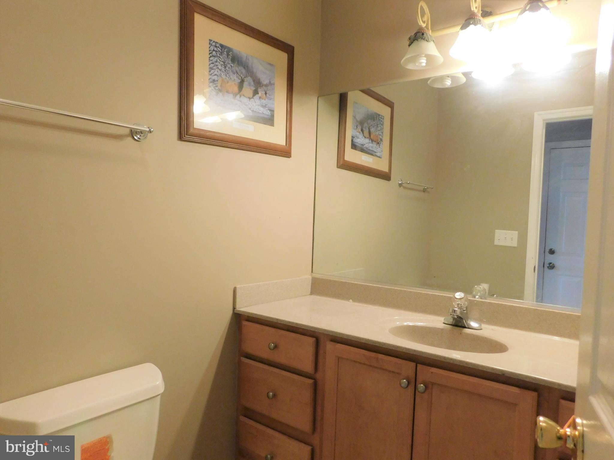 36805 Red Berry Road Delmar, DE 19940 - Photo 14 of 23