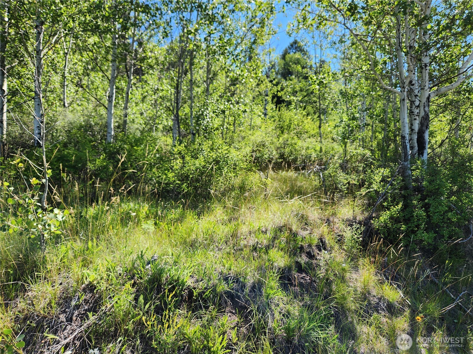 18 Robin Road Republic, WA 99166 - Photo 12 of 28 Gallery Image 12