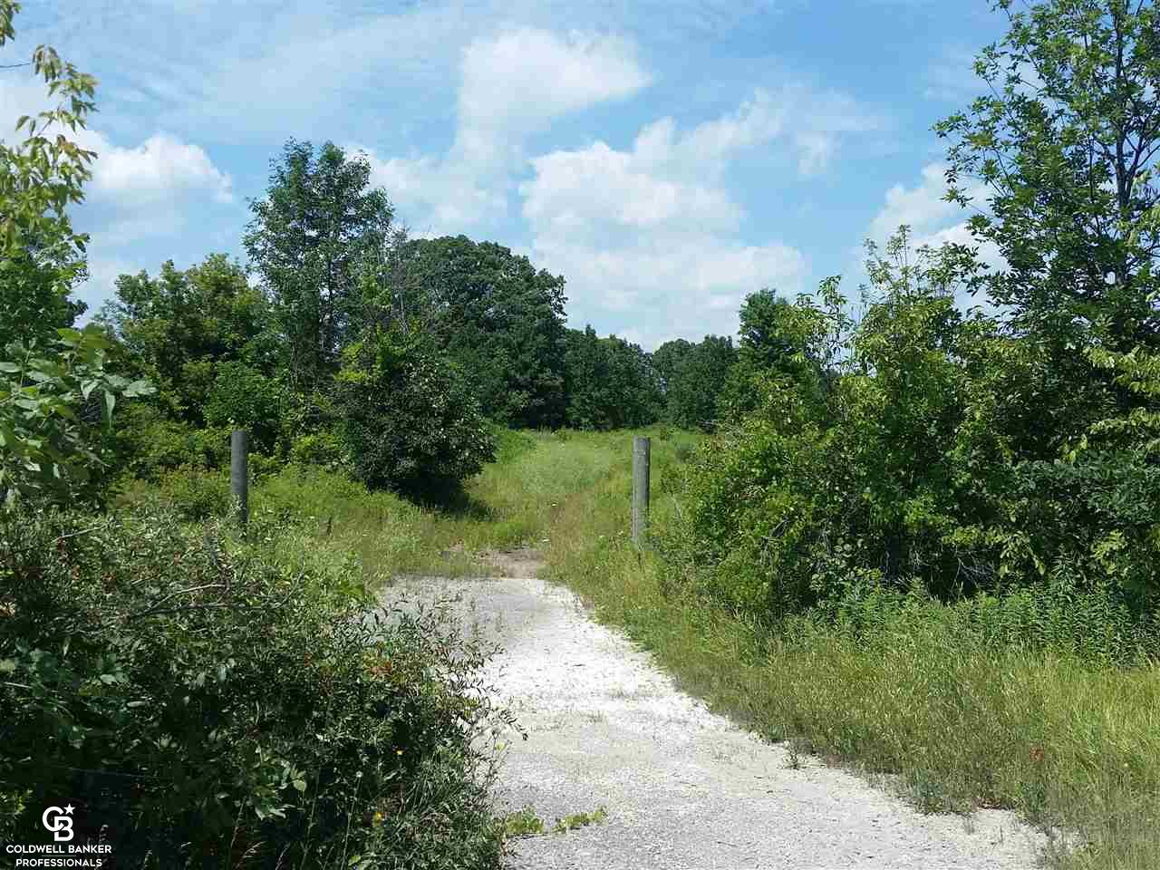 33563 Pratt Road Richmond, MI 48062 - Photo 8 of 10 Gallery Image 8