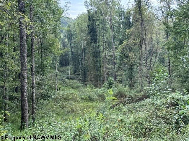 Tbd Massie Hollow Road Rivesville, WV 26588 - Photo 26 of 26 Gallery Image 26