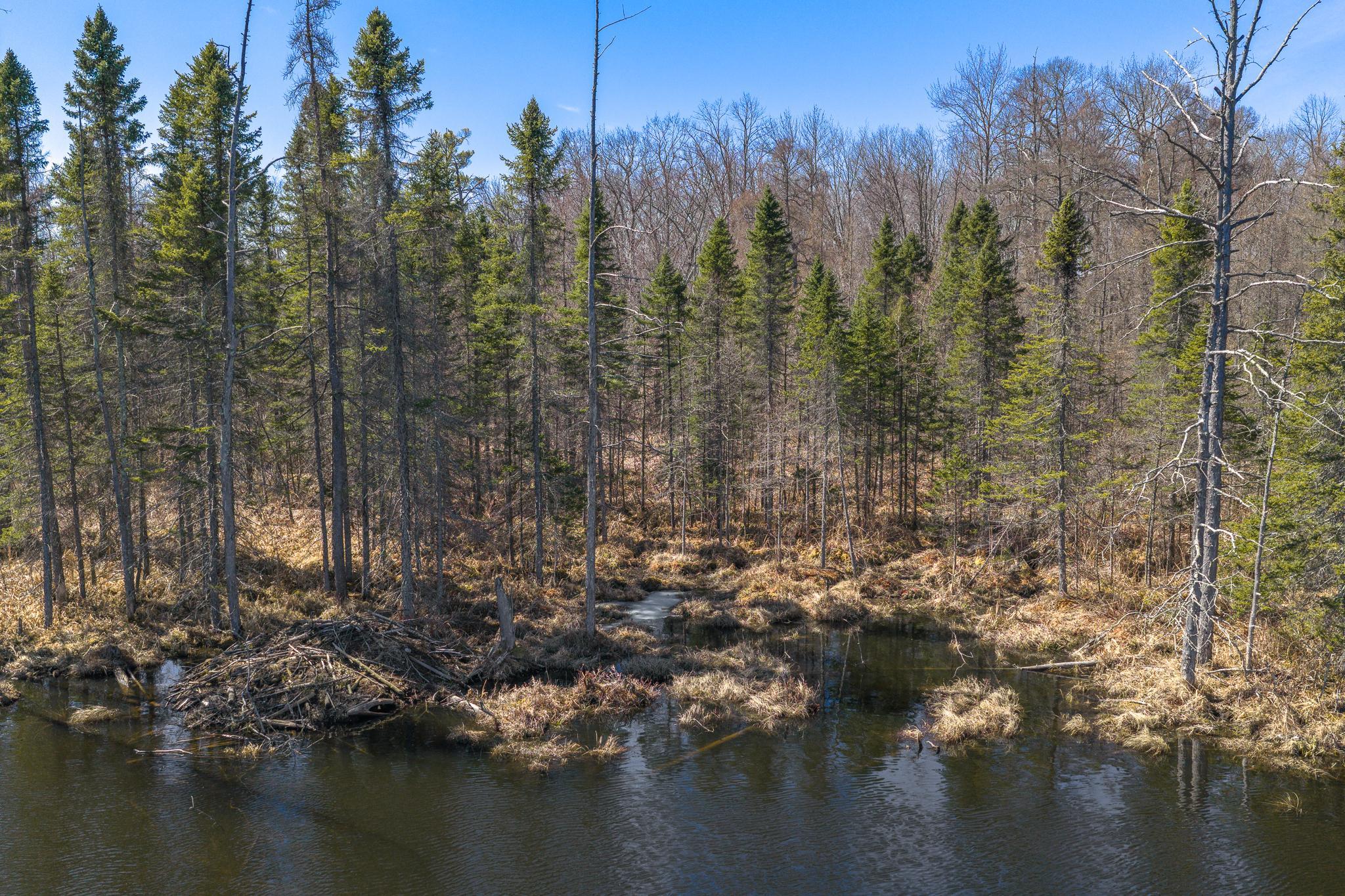 Tbd Tbd 170th Ave/cty Road Balsam Lake, WI 54810 - Photo 23 of 42