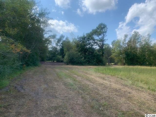 3 Red Bluff Road Loris, SC 29569 - Photo 1 of 1 Gallery Image 1