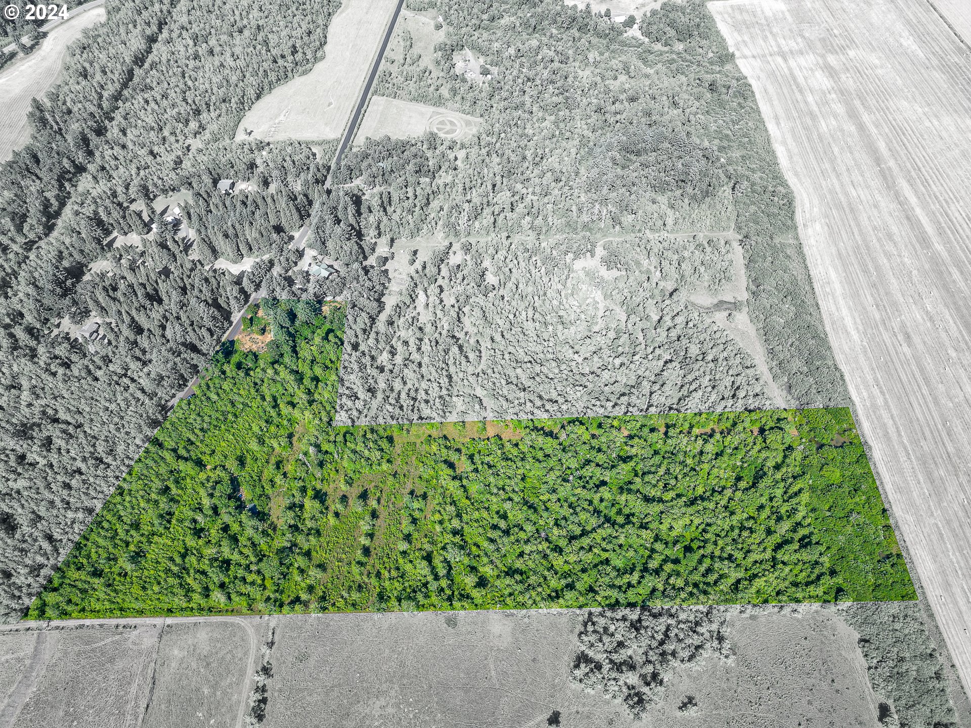 Danville Road Creswell, OR 97426 - Photo 1 of 19 Gallery Image 1