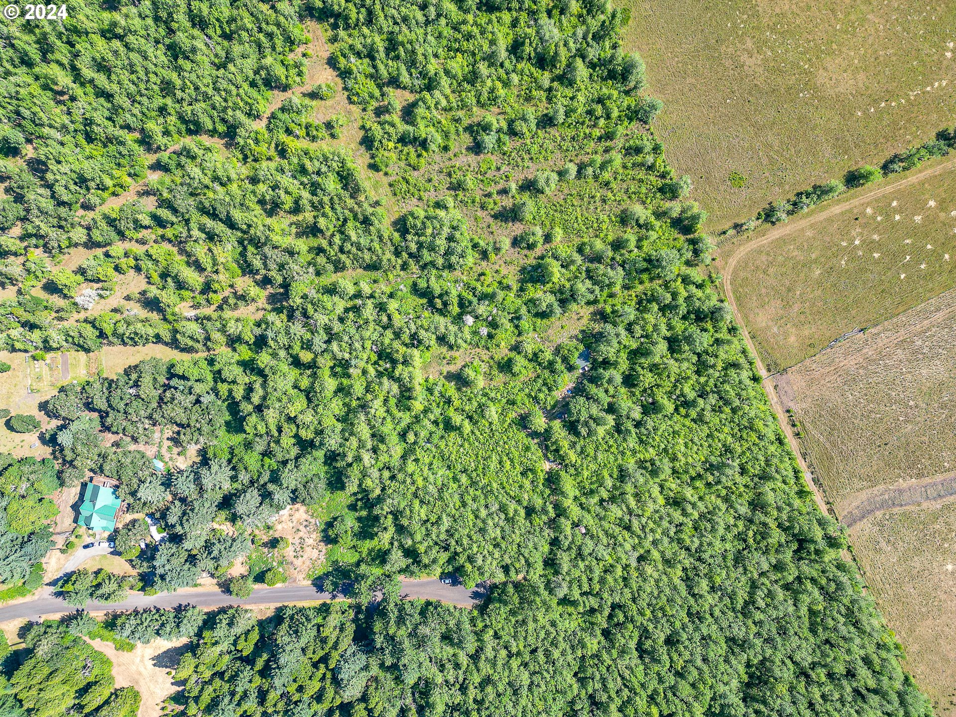 Danville Road Creswell, OR 97426 - Photo 9 of 19 Gallery Image 9