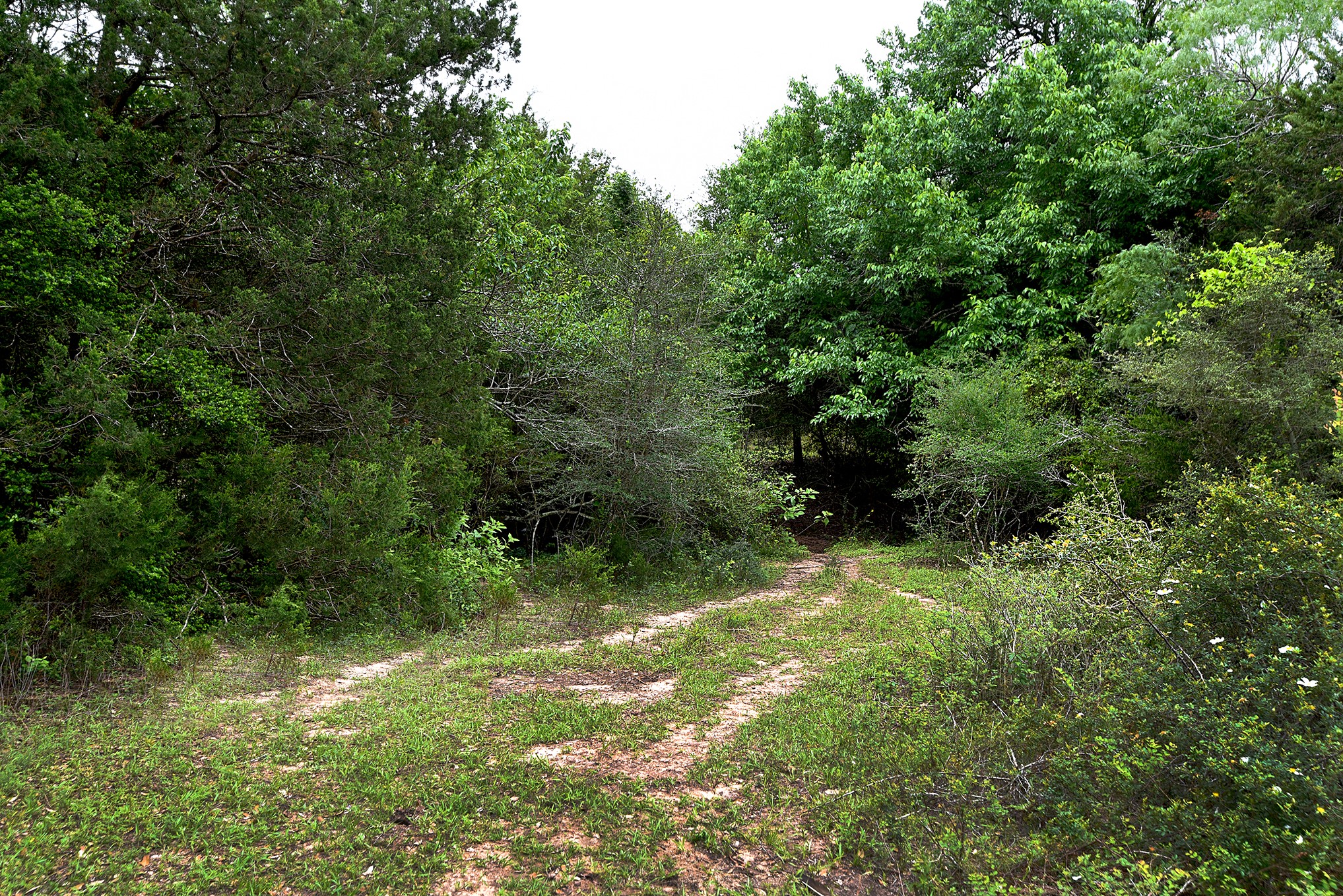 10 East Frontage Road Weimar, TX 78962 - Photo 11 of 30 a view of outdoor space and garden