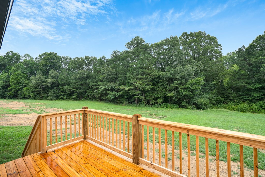 5230 Apison Road Northwest Cohutta, GA 30710 - Photo 39 of 47