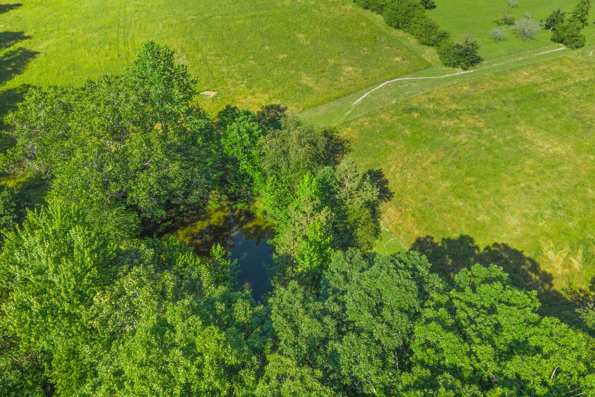 4940 Marion Road Cunningham, TN 37052 - Photo 39 of 43 a view of a large yard with lots of bushes