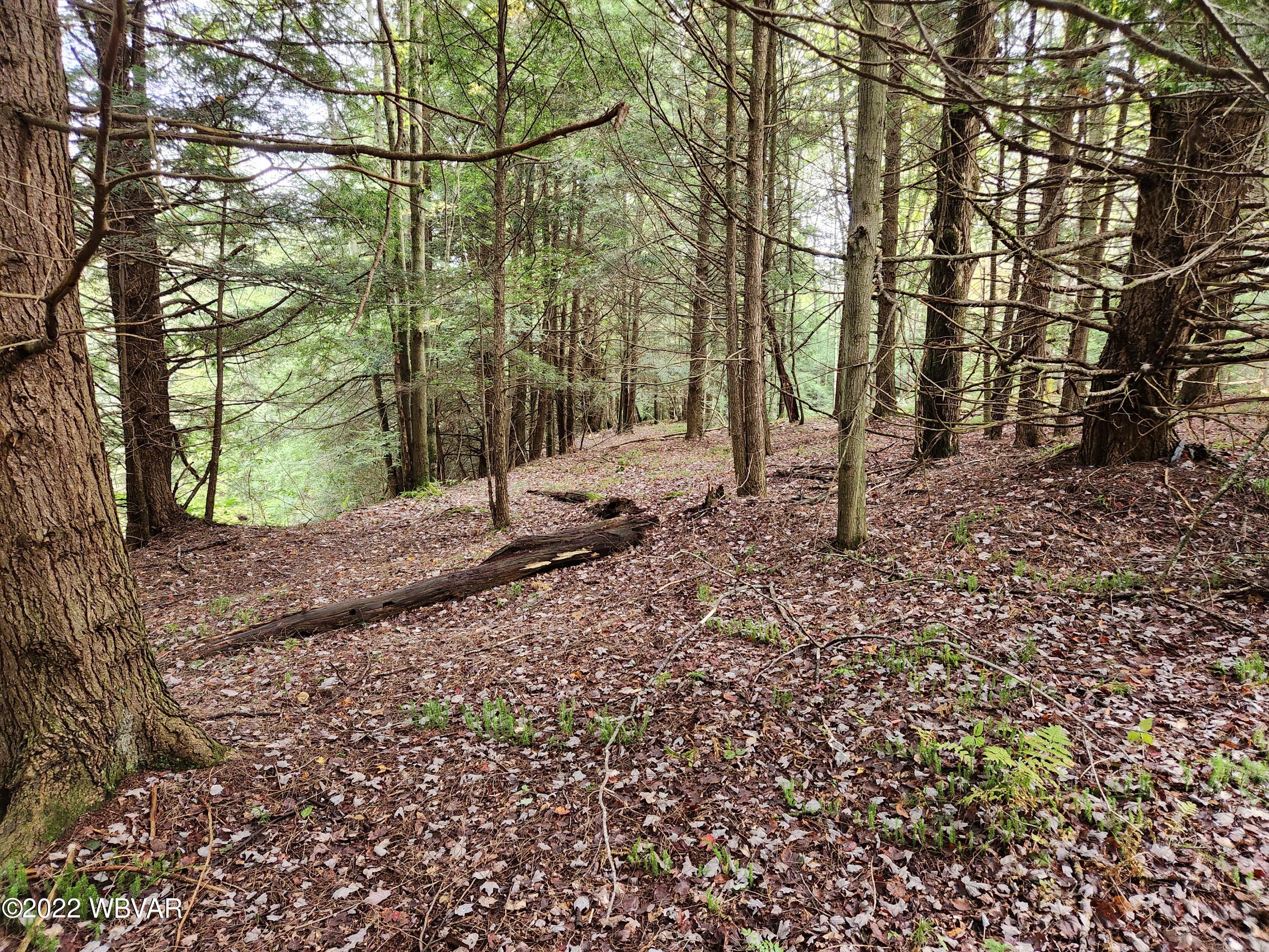 Shrader Creek Road Shunk, PA 17768 - Photo 1 of 18 Gallery Image 1