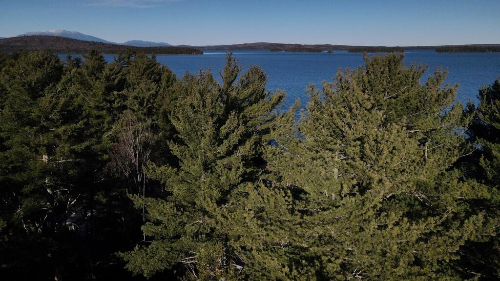 373 Turkey Tail Road Millinocket, ME 04462 - Photo 42 of 69 Photo_1080295484_DJI_60_jpg_5769149_0_20