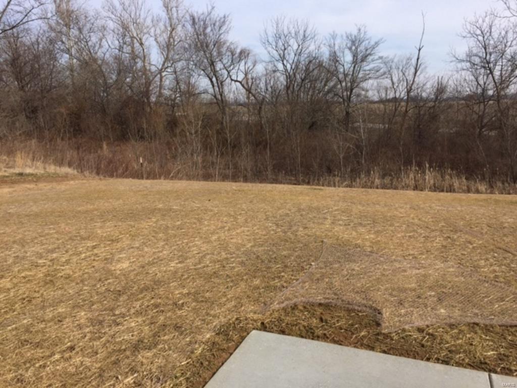 3433 Maple Ridge Drive Wood River, IL 62095 - Photo 13 of 18 Gallery Image 13