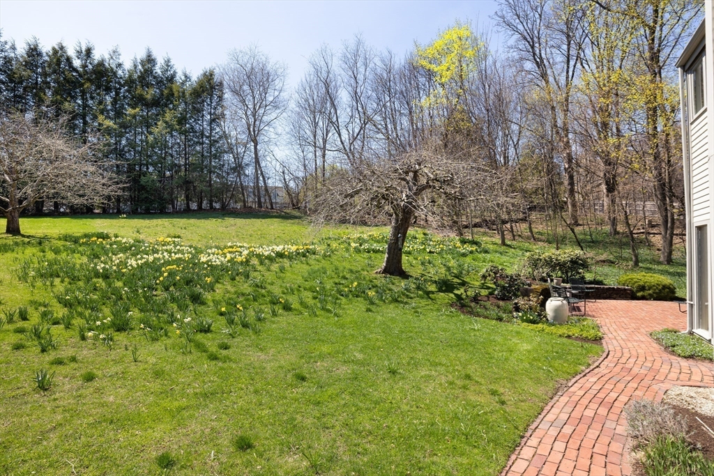 185 Warren Street Brookline, MA 02445 - Photo 21 of 25