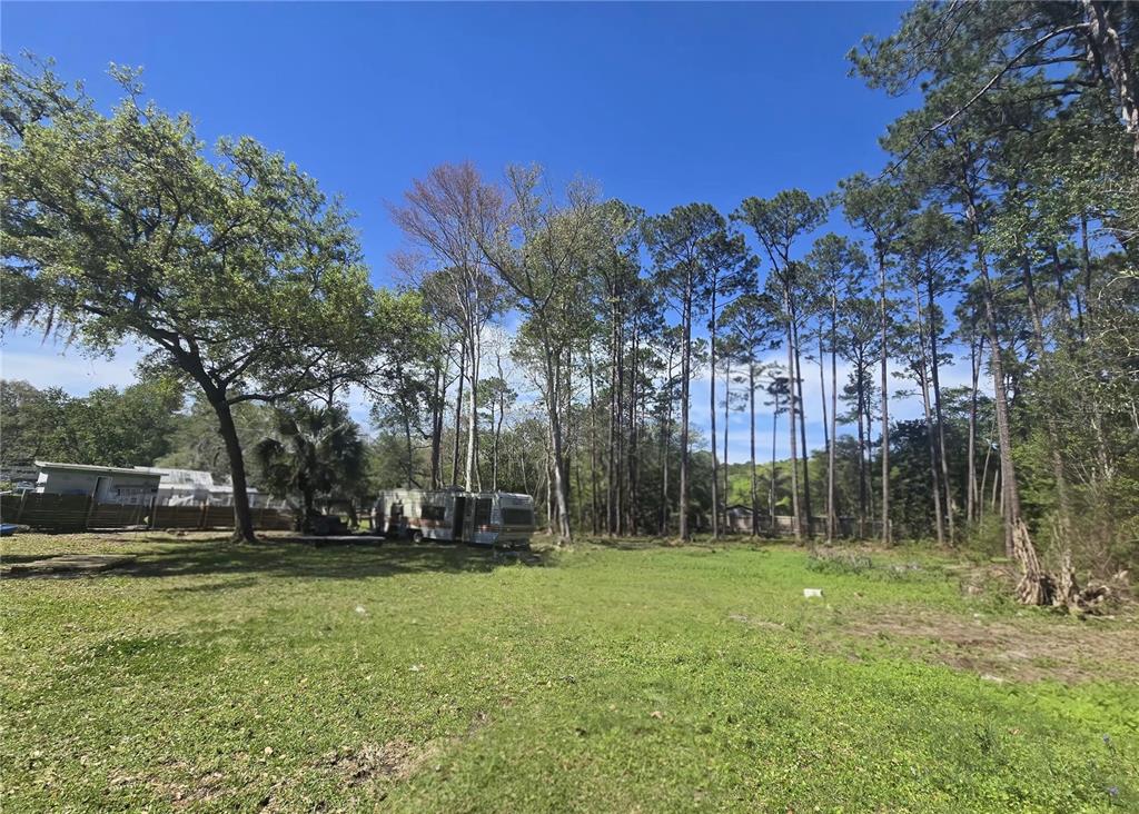 9989 Leahy Road Jacksonville, FL 32246 - Photo 19 of 21 a view of a park with large trees