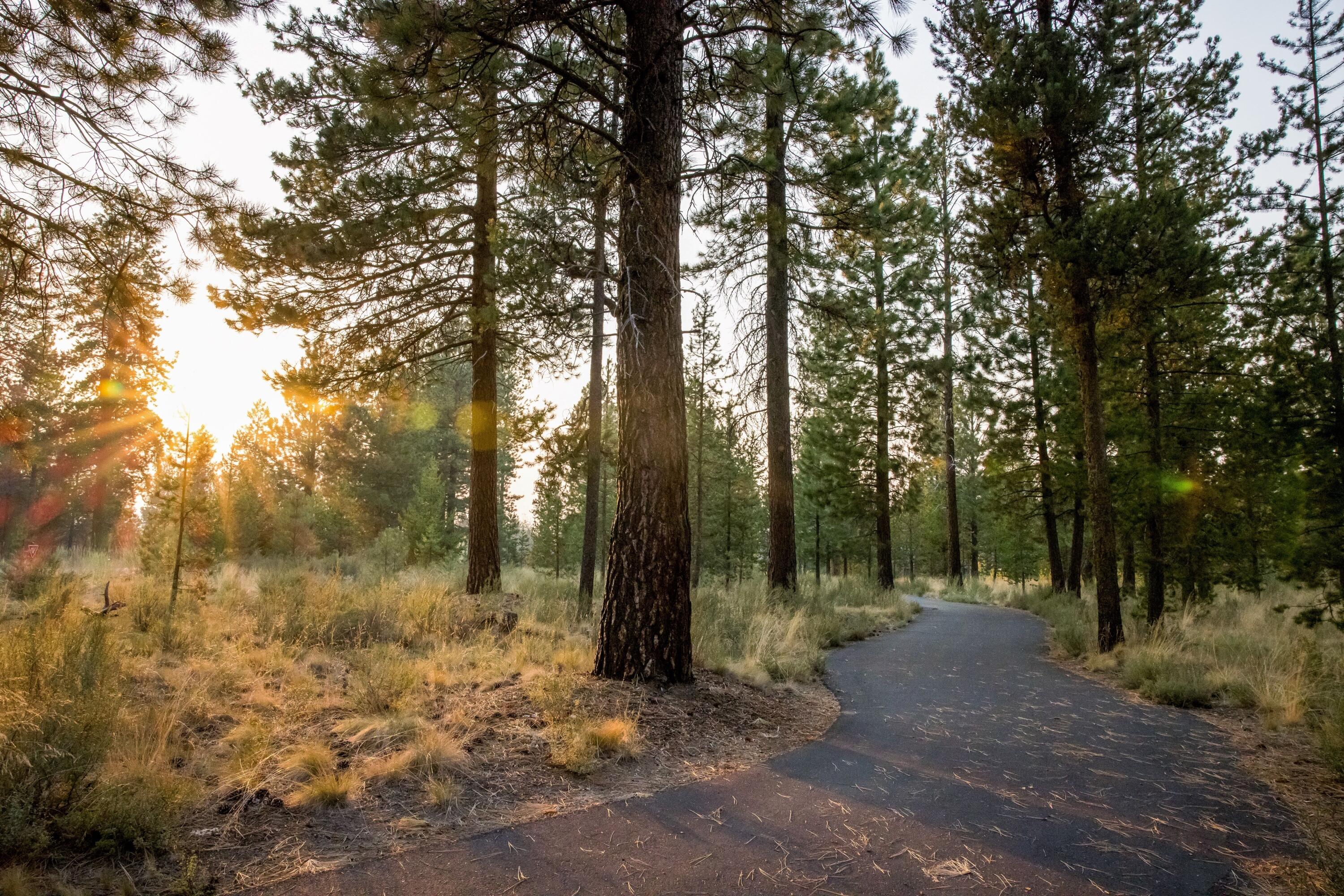 Preservation Loop Bend, Unit 489 Bend, OR 97707 - Photo 9 of 20 Bike through the Woods