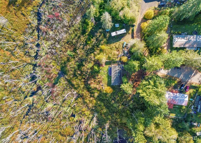 a close up of a tree