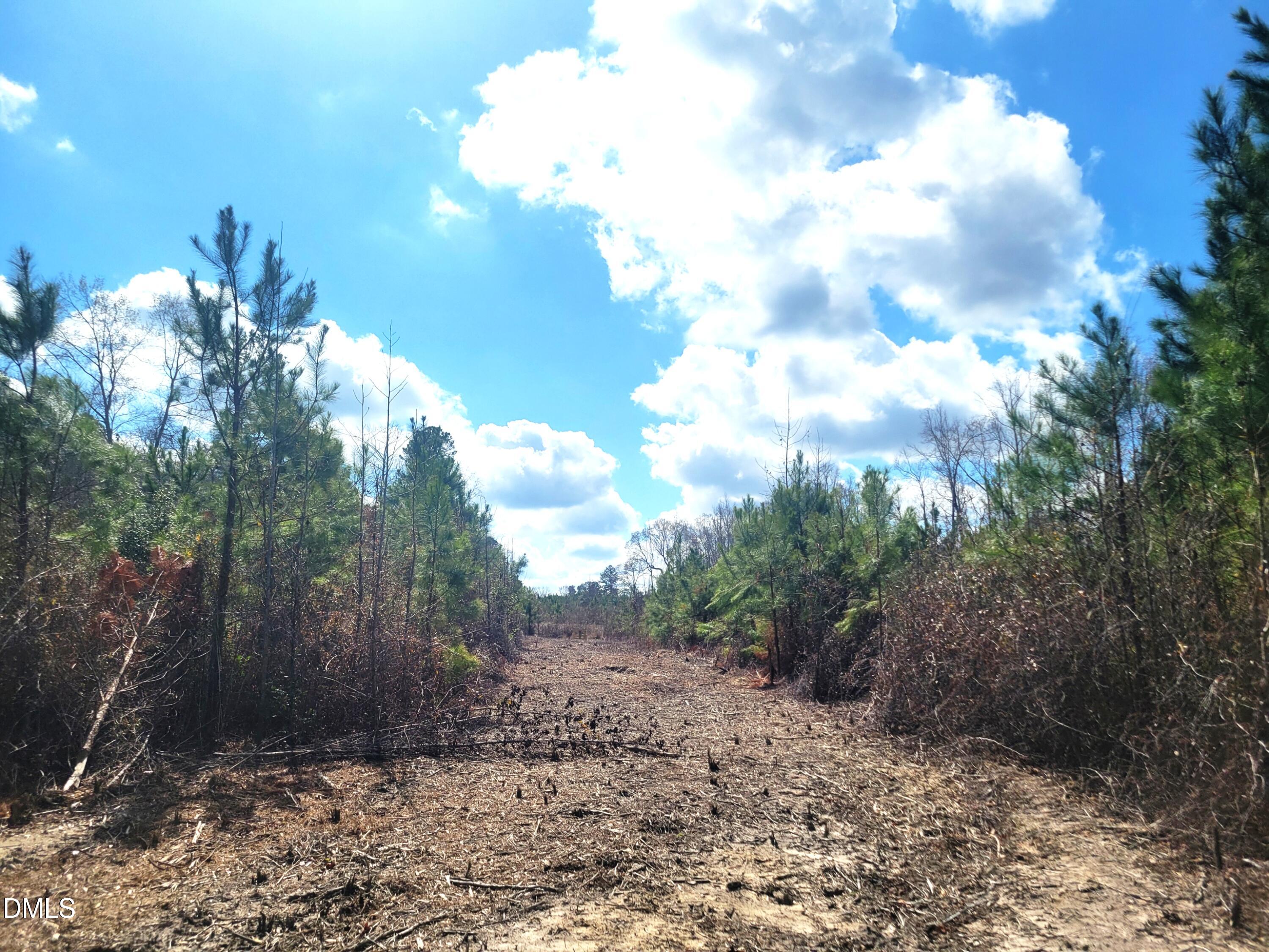 8234 Elevation Road Benson, NC 27504 - Photo 5 of 18 4 path20260309_124402