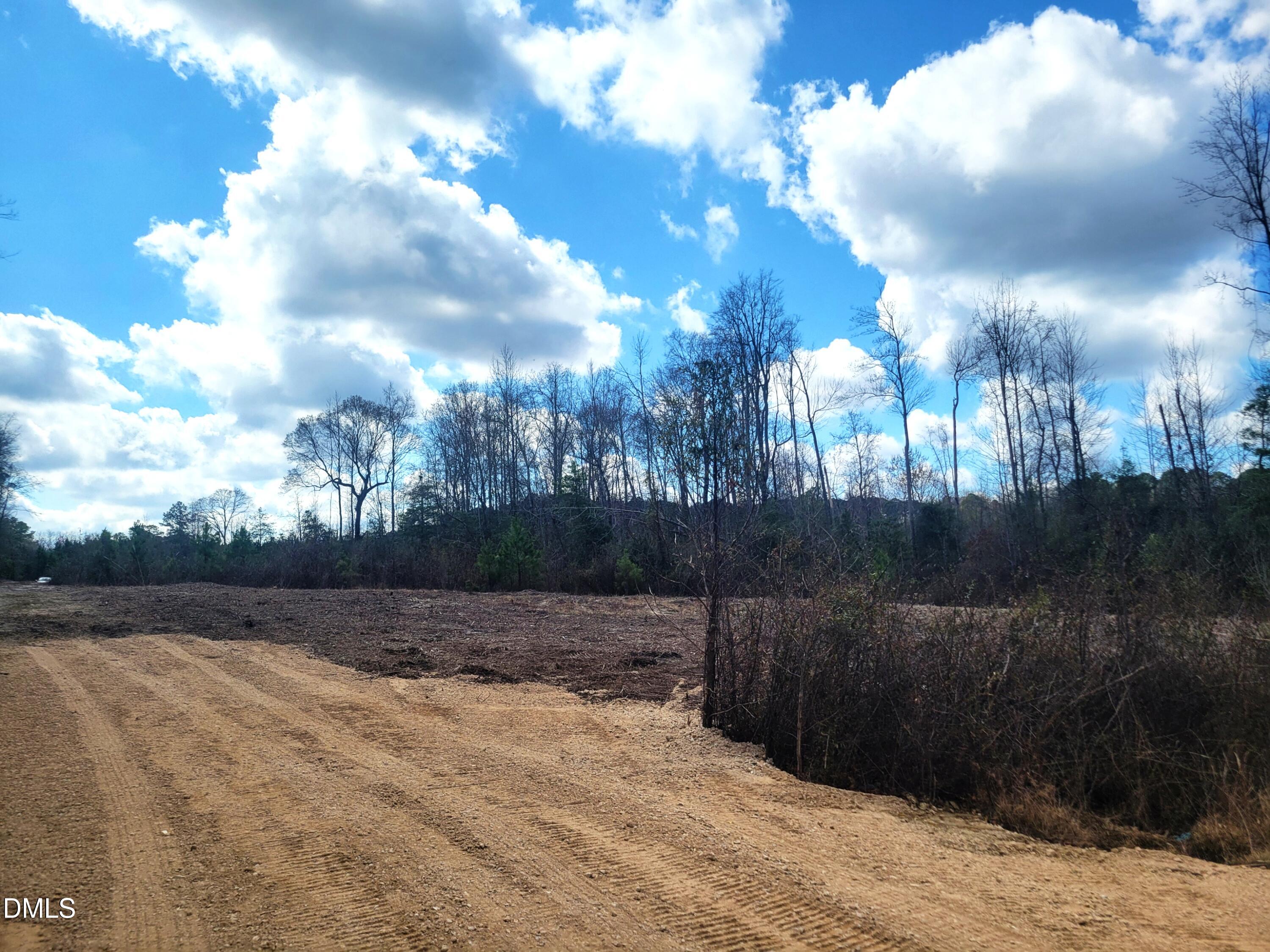 8234 Elevation Road Benson, NC 27504 - Photo 6 of 18 5 clearing 20260309_124944