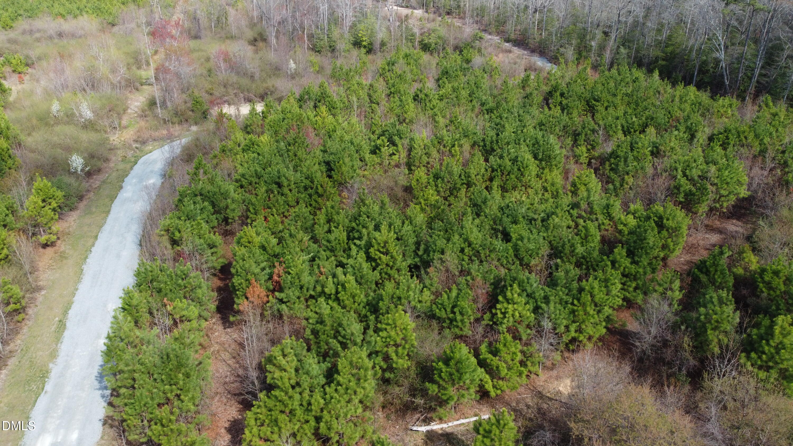 8234 Elevation Road Benson, NC 27504 - Photo 9 of 18 8 - DJI_0098