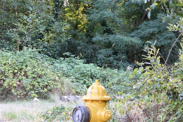 a view of a fire pit with large trees