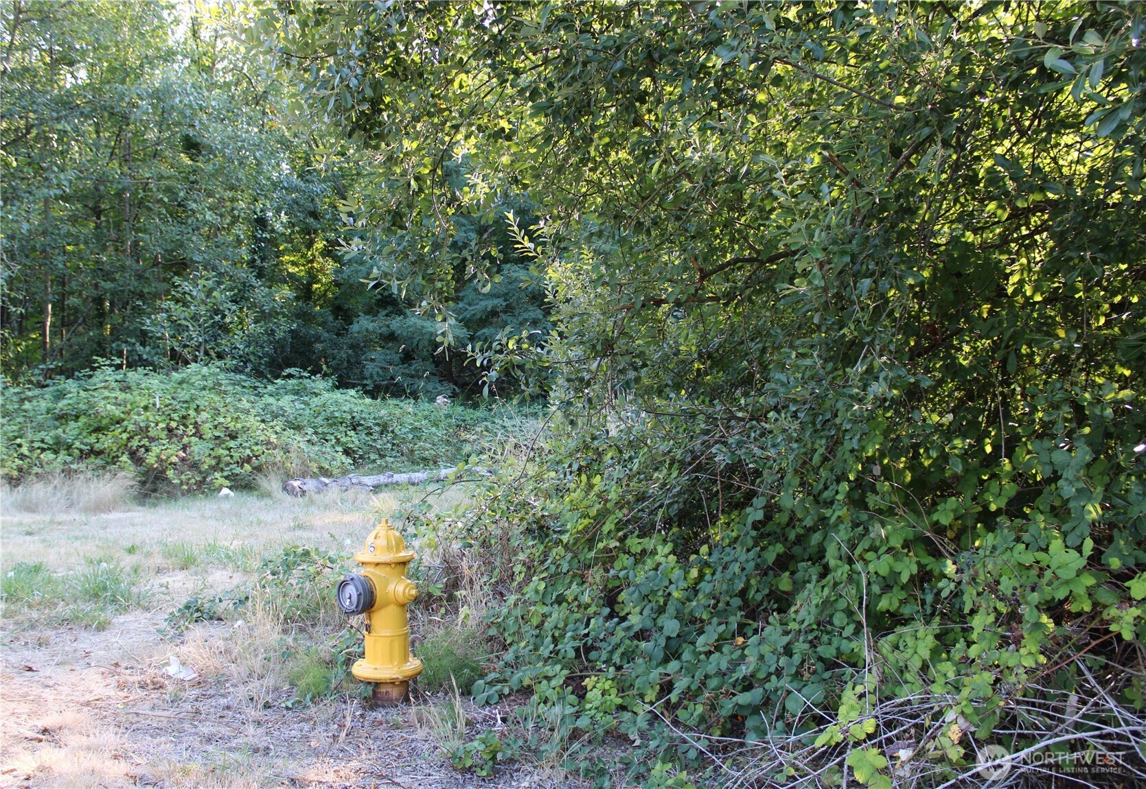 17227 1st Avenue South Burien, WA 98166 - Photo 12 of 13