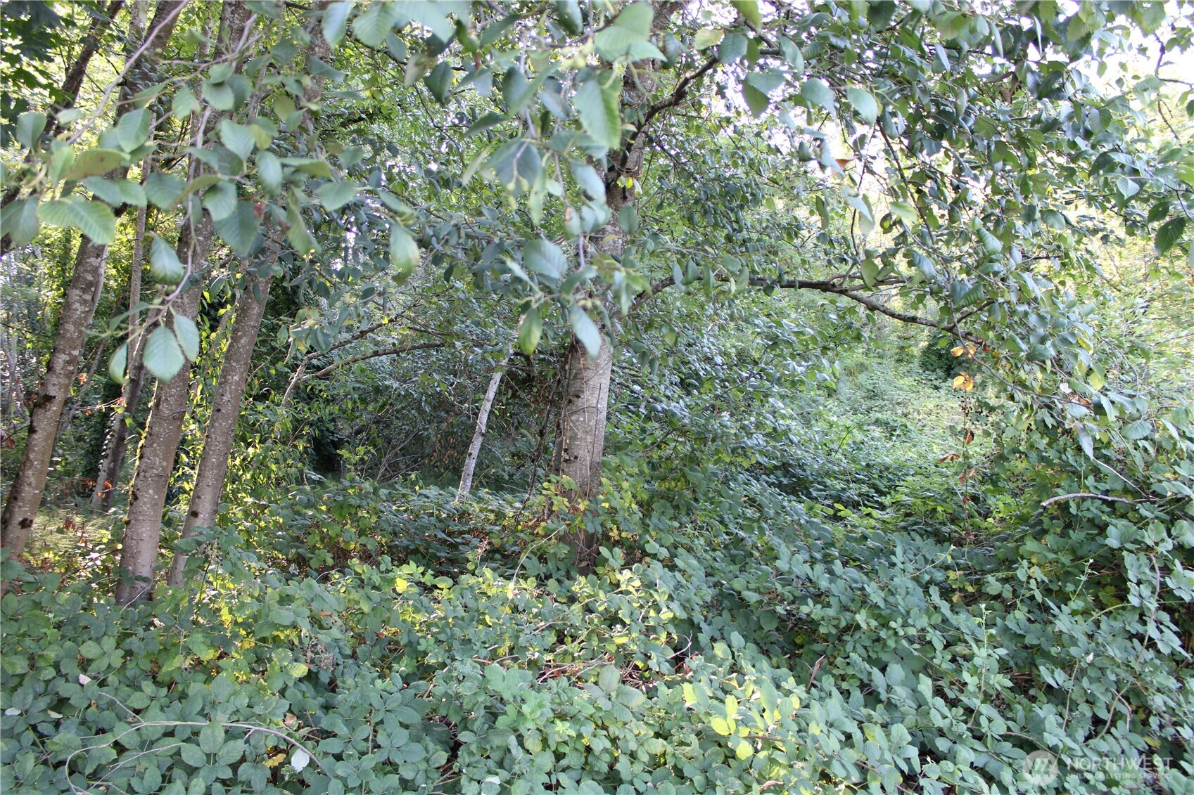 17227 1st Avenue South Burien, WA 98166 - Photo 5 of 13