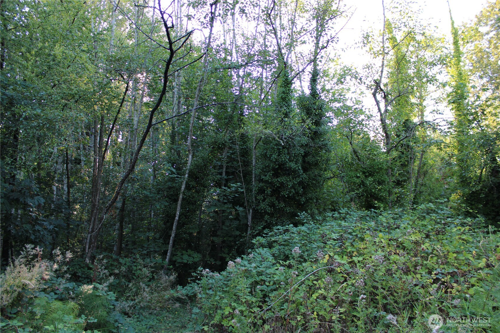 17227 1st Avenue South Burien, WA 98166 - Photo 8 of 13