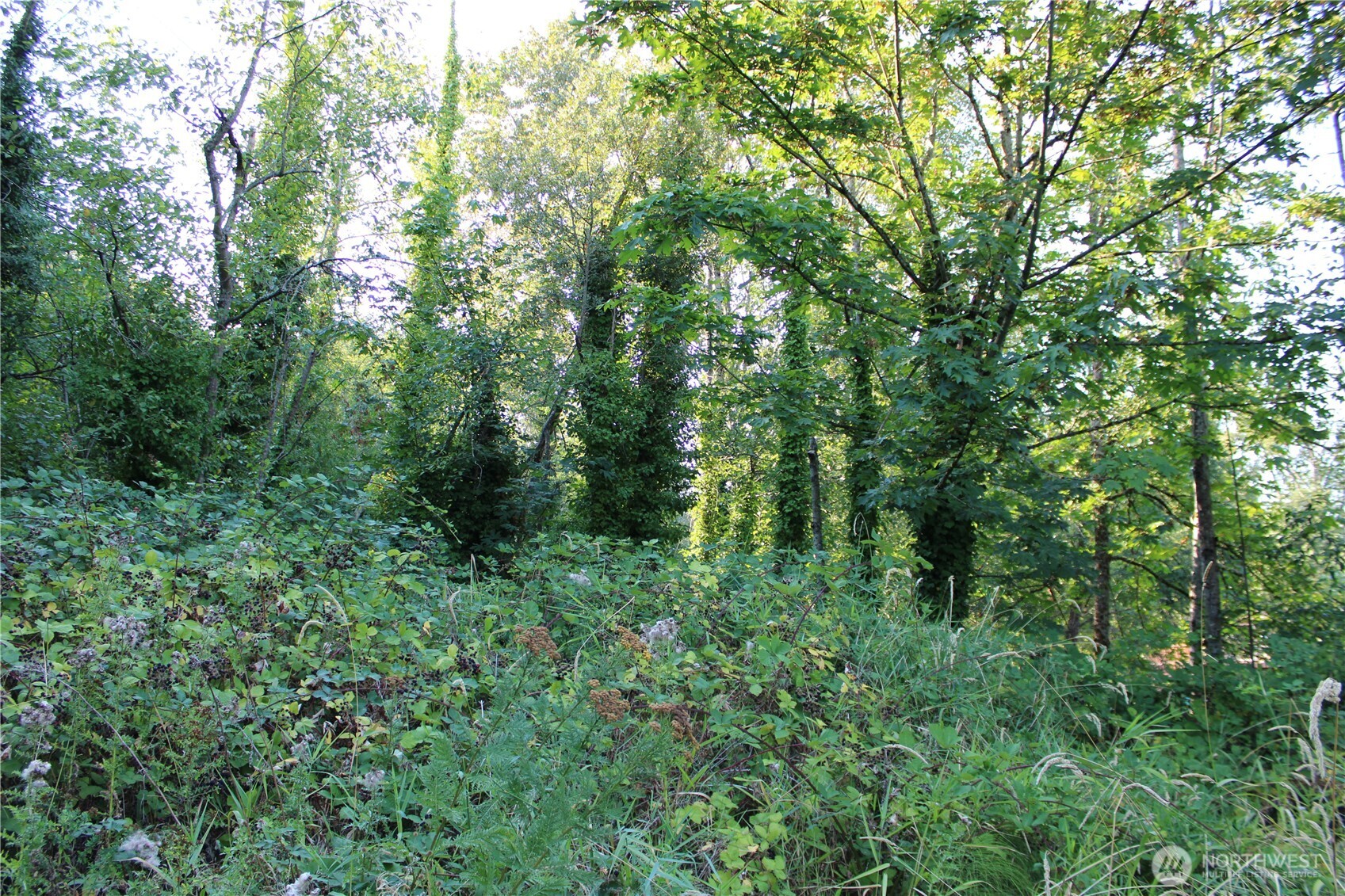 17227 1st Avenue South Burien, WA 98166 - Photo 9 of 13