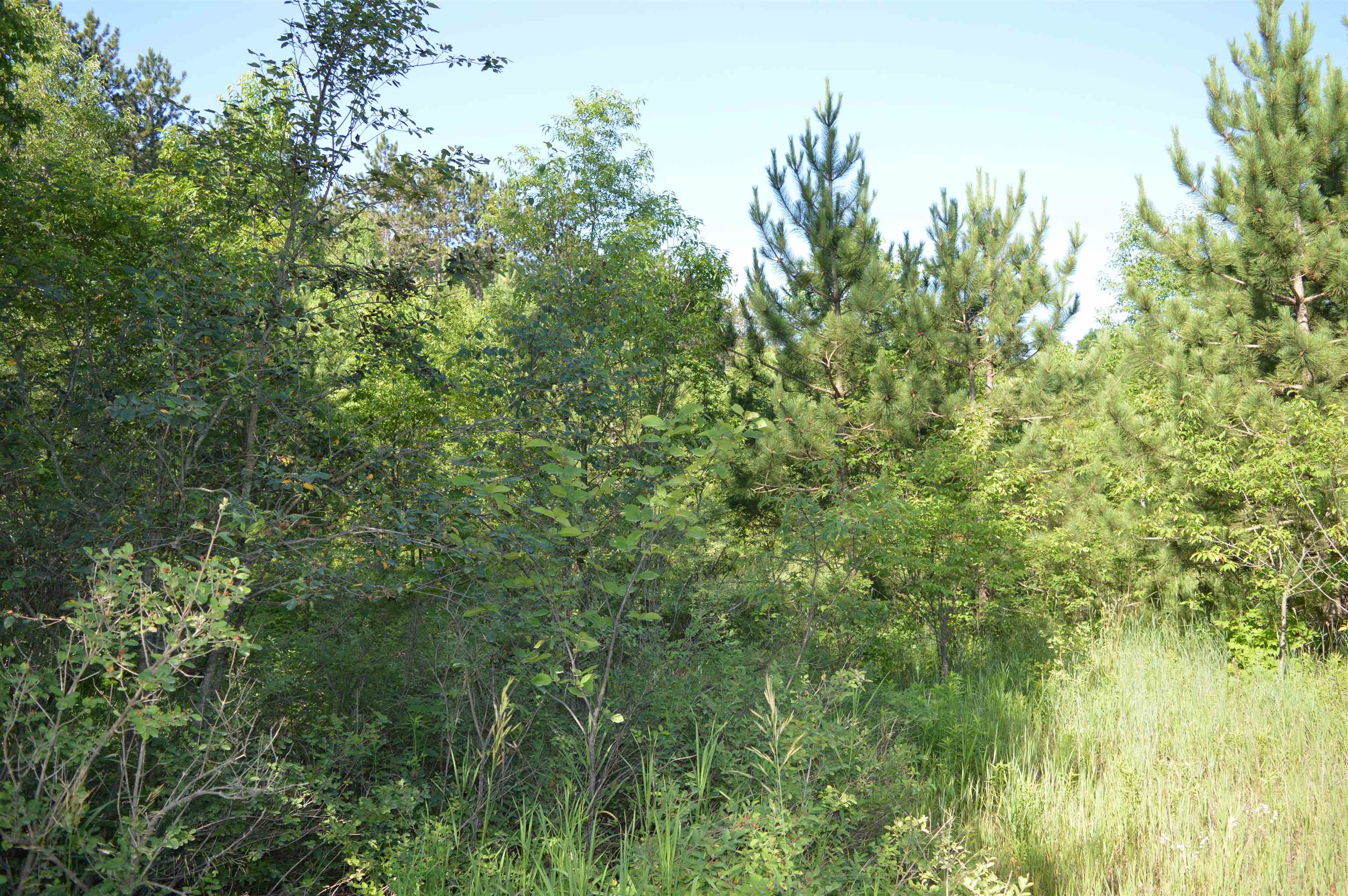 Northeast Holly Road, Unit LOT: A Kalkaska, MI 49646 - Photo 8 of 27