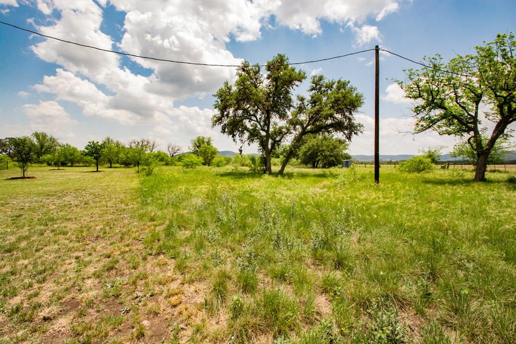 2657 West Sabinal Road Utopia, TX 78884 - Photo 13 of 36 a backyard of a house with lots of green space and plants