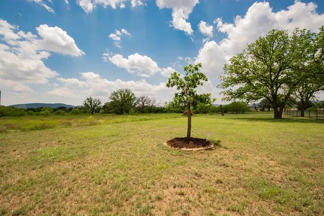 a view of a park with large trees