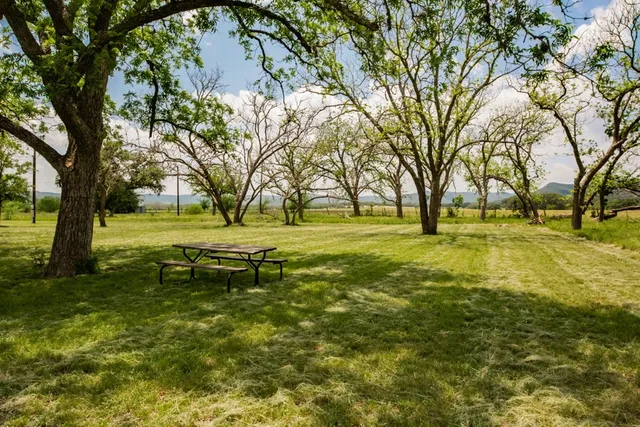 a front view of house with yard and trees